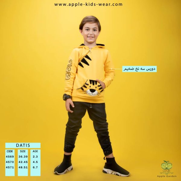 هودی پسرانه