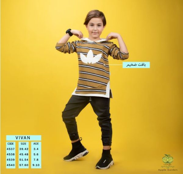 هودی تک پسرانه مدل ویوان