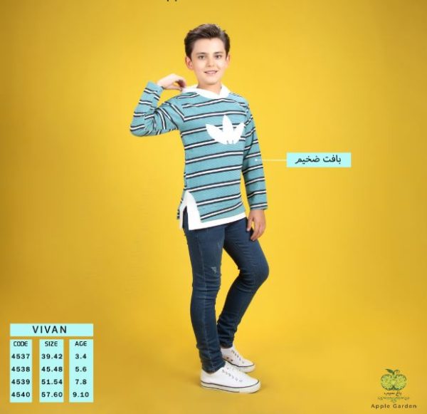 هودی تک پسرانه مدل ویوان